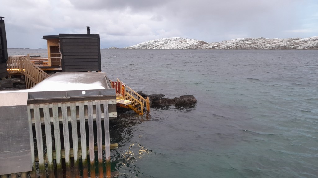 Wellness in a Go-Go&nbsp;World